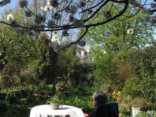 Grove Guest House Londra Esterno foto